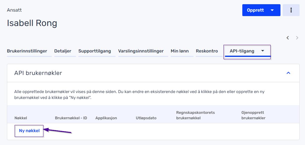 nyAPInøkkel.png
